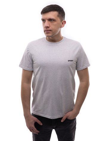 Футболка мужская 46 Светло-серый DIONI (701655-46) 701655-46 фото