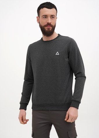 Світшот чоловічий M Темно-сірий ADRIAN (669736-M) 669736-M фото