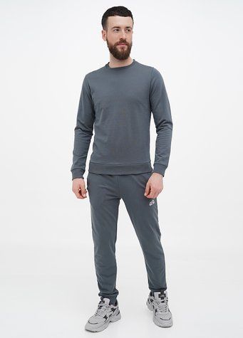 Штани спортивні чоловічі 48 Сірий EST.1991 (666021-48) 666021-48 фото