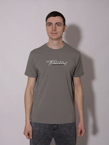 Футболка мужская L Серый TREND LINE (720427-L) 720427-L фото