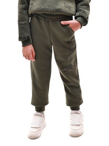 Брюки спортивные для мальчика 104 Хаки (697594-104) 697594-104 фото