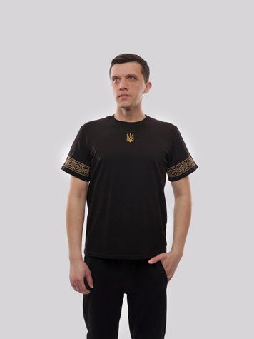 Футболка чоловіча 46 Чорний ФІОНА (719821-46) 719821-46 фото