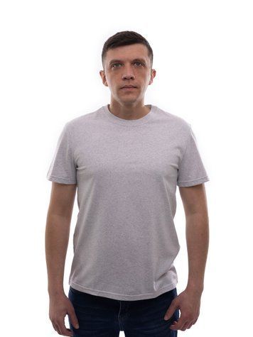 Футболка чоловіча 46 Світло-сірий DIONI (702023-46) 702023-46 фото