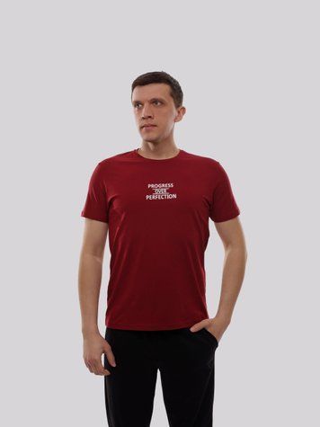 Футболка мужская S Бордовый TREND LINE (717888-S) 717888-S фото