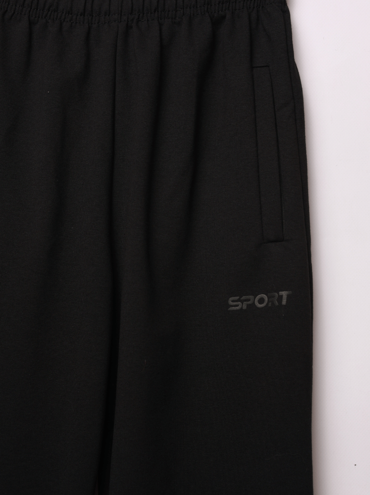 Штани спортивні чоловічі 50 Чорний SPORT (741426-50) 741426-50 фото