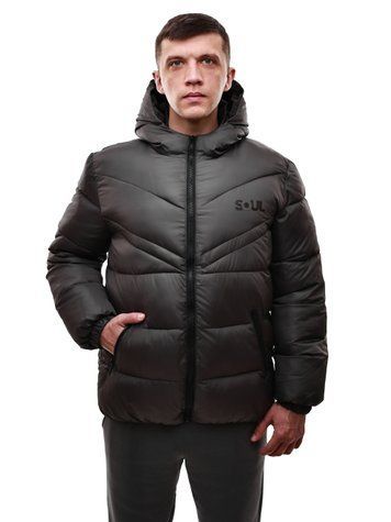 Куртка зимова чоловіча 46 Темно-сірий FAVORITE STYLE (694803-46) 694803-46 фото